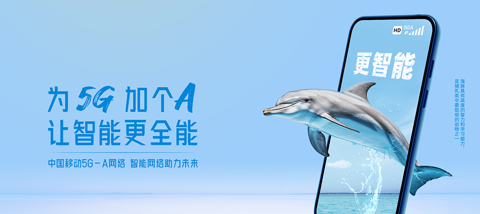 贾汪区移动宽带移动宽带新装价格表