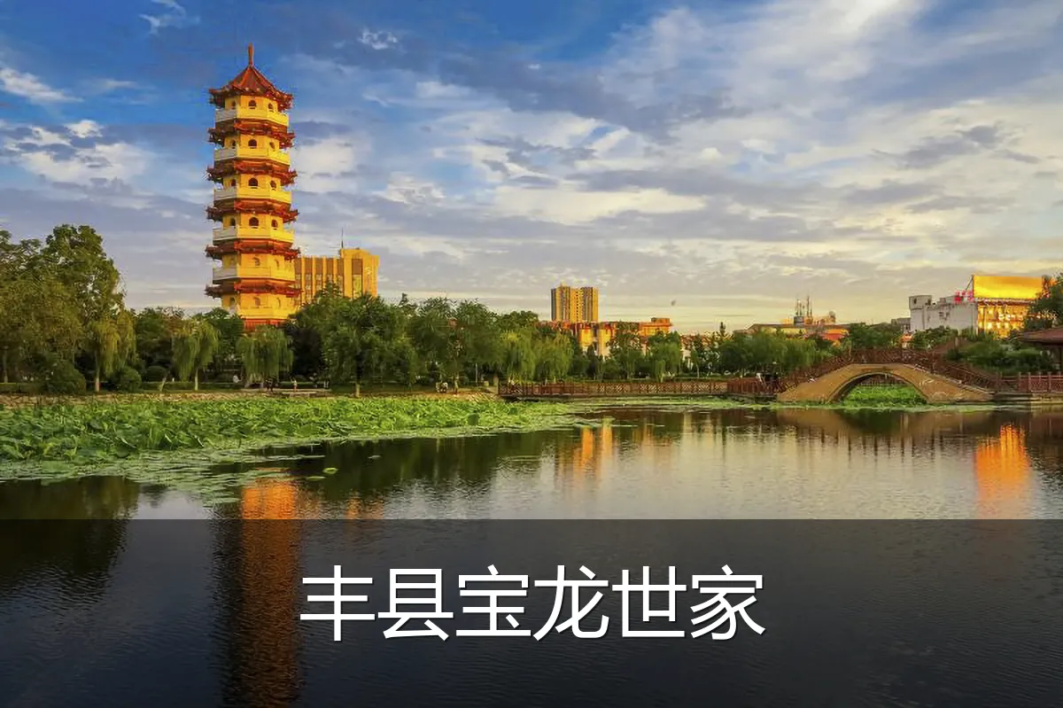 丰县宝龙世家