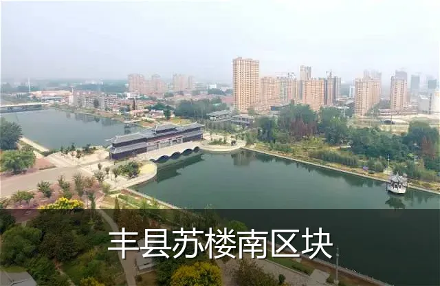 丰县苏楼南区块