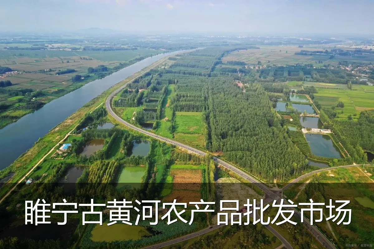 睢宁古黄河农产品批发市场