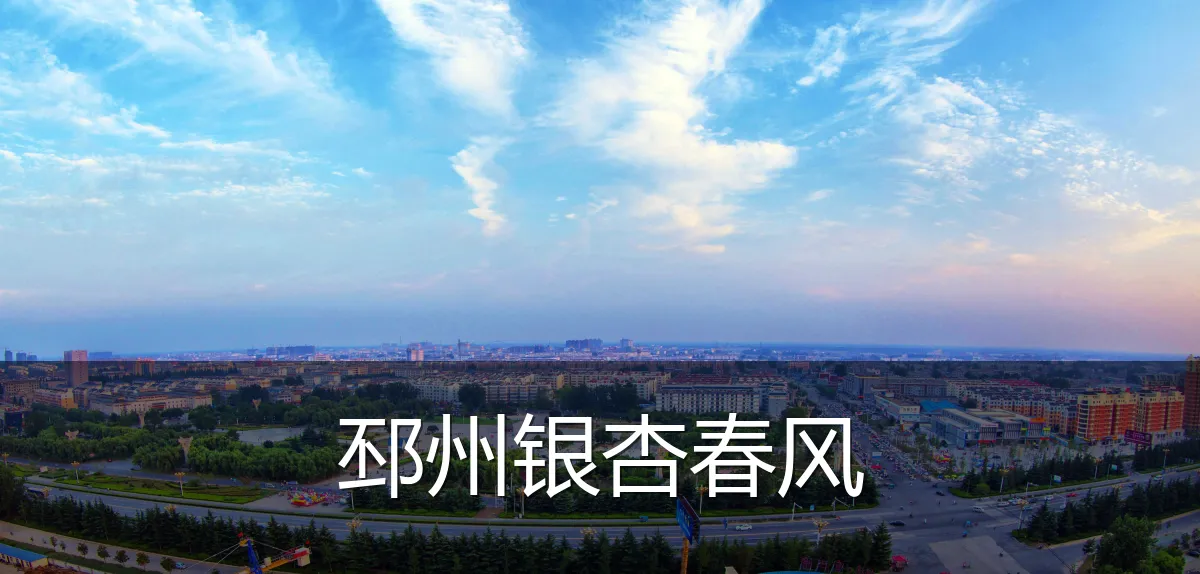 邳州银杏春风