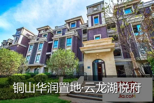 铜山华润置地·云龙湖悦府