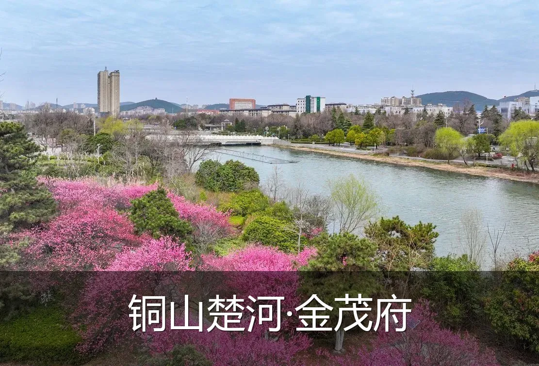 铜山楚河·金茂府