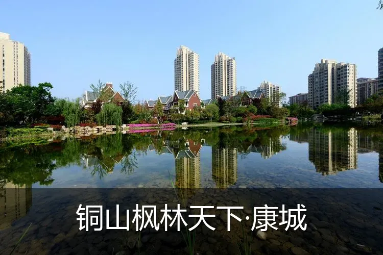 铜山枫林天下·康城