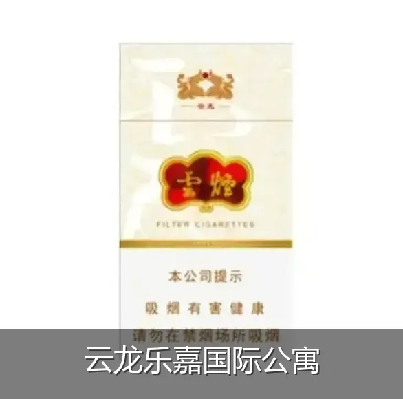 云龙乐嘉国际公寓