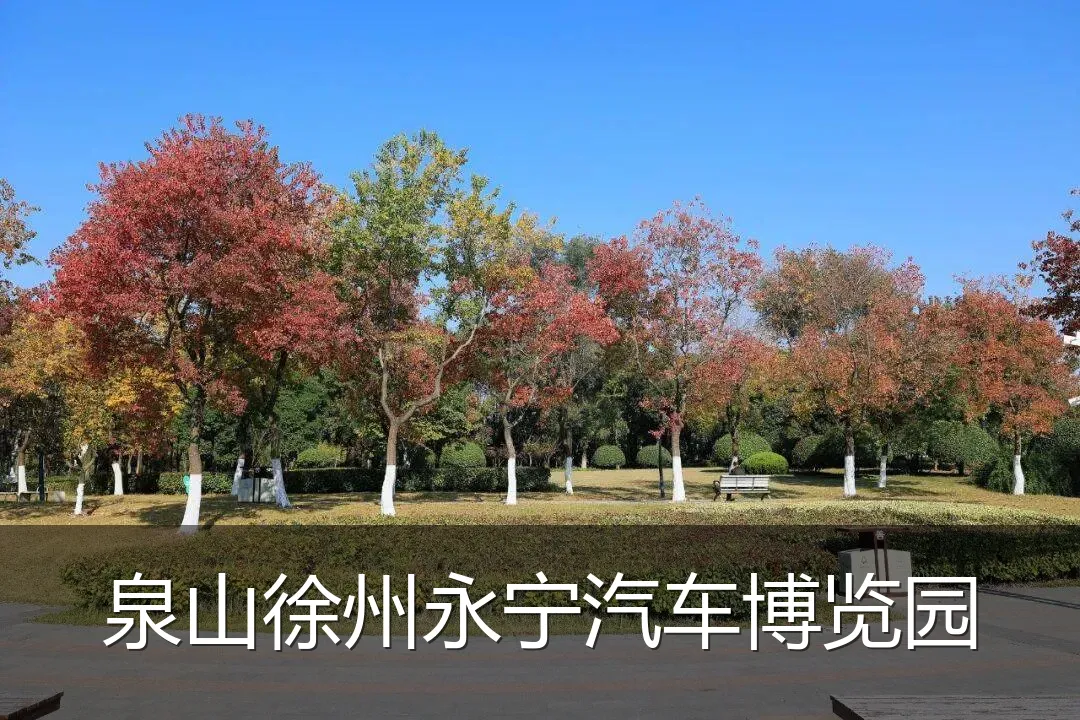 泉山徐州永宁汽车博览园